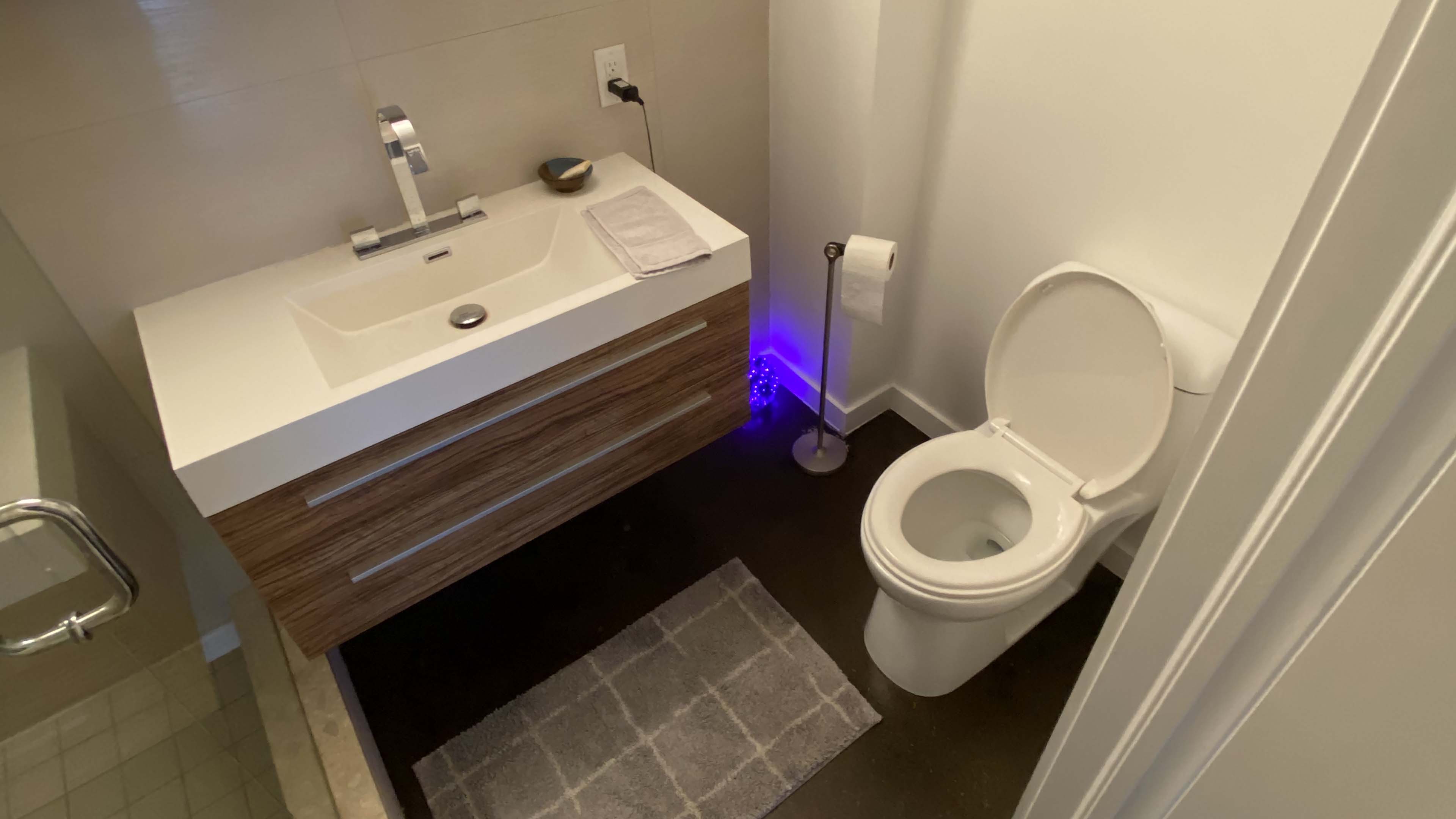 Pure Upscale Restroom